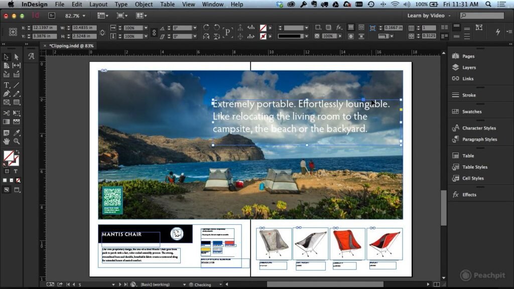 Graphic Design Software & Tools